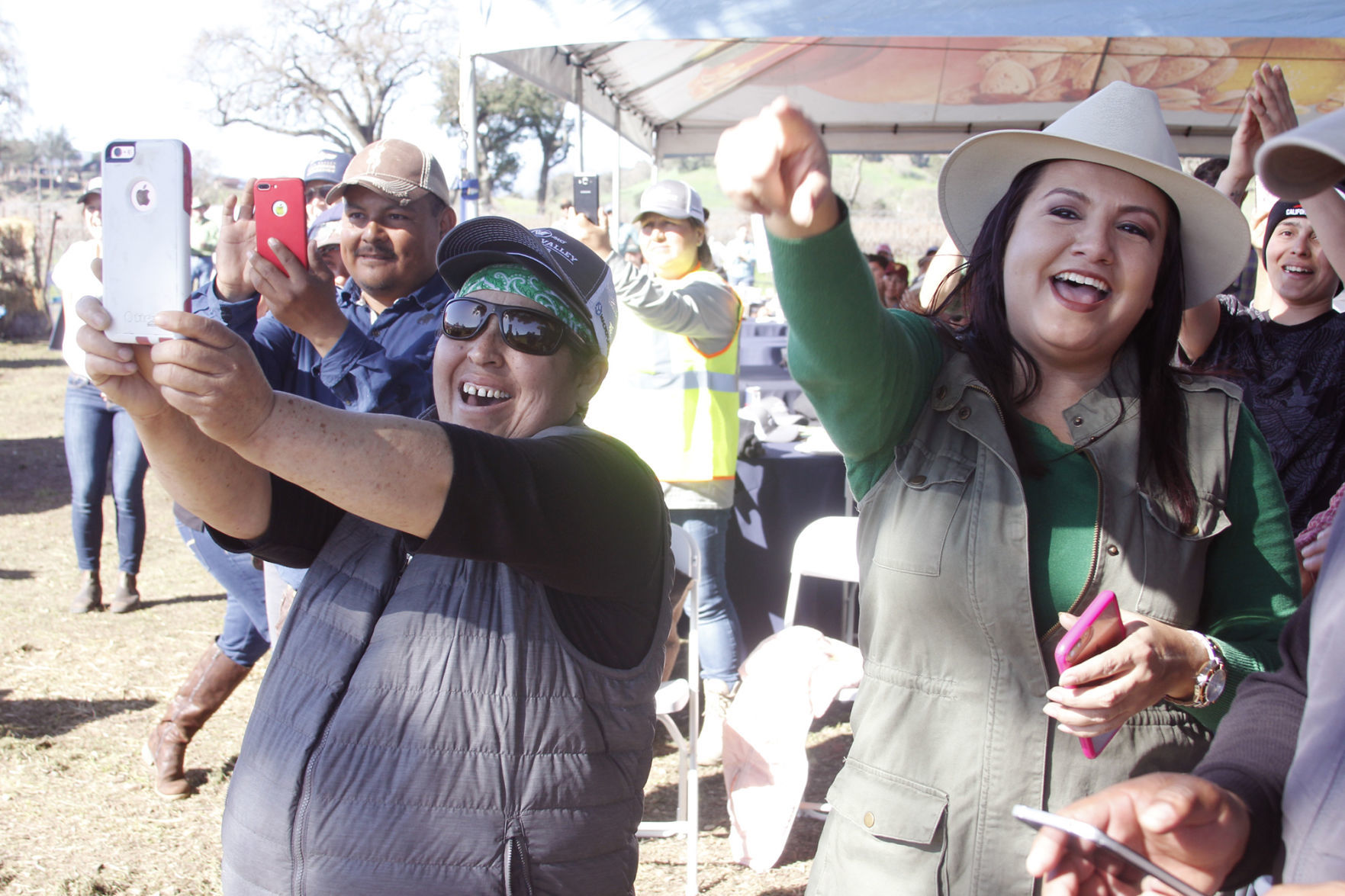 Napa County Pruning Contest